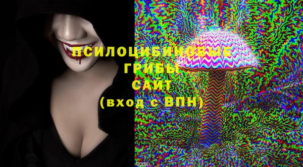 гидра Бронницы