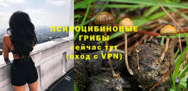 гидра Бронницы
