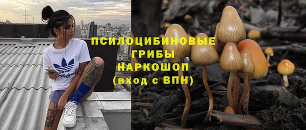 бошки Бородино