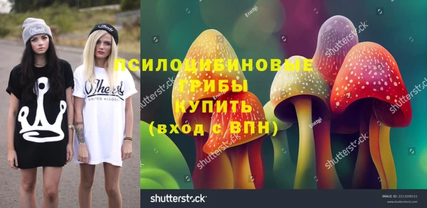 гидра Бронницы