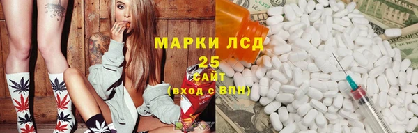 бошки Бородино