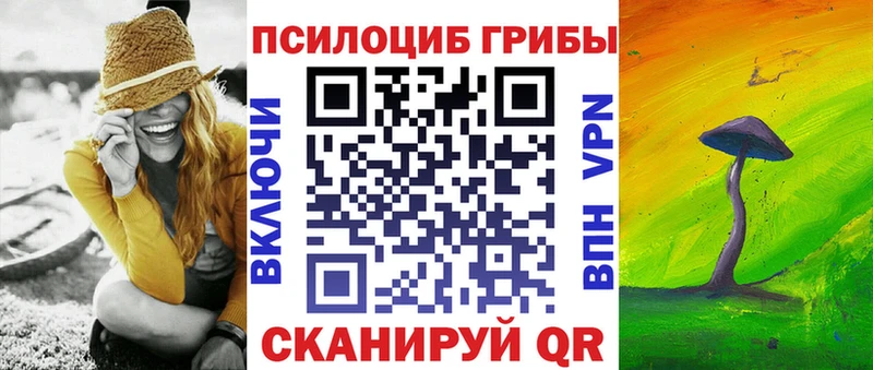 Галлюциногенные грибы Magic Shrooms  Купить где  Сельцо 