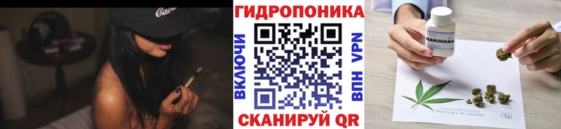 Купить закладки  Сельцо  Каннабис сатива 